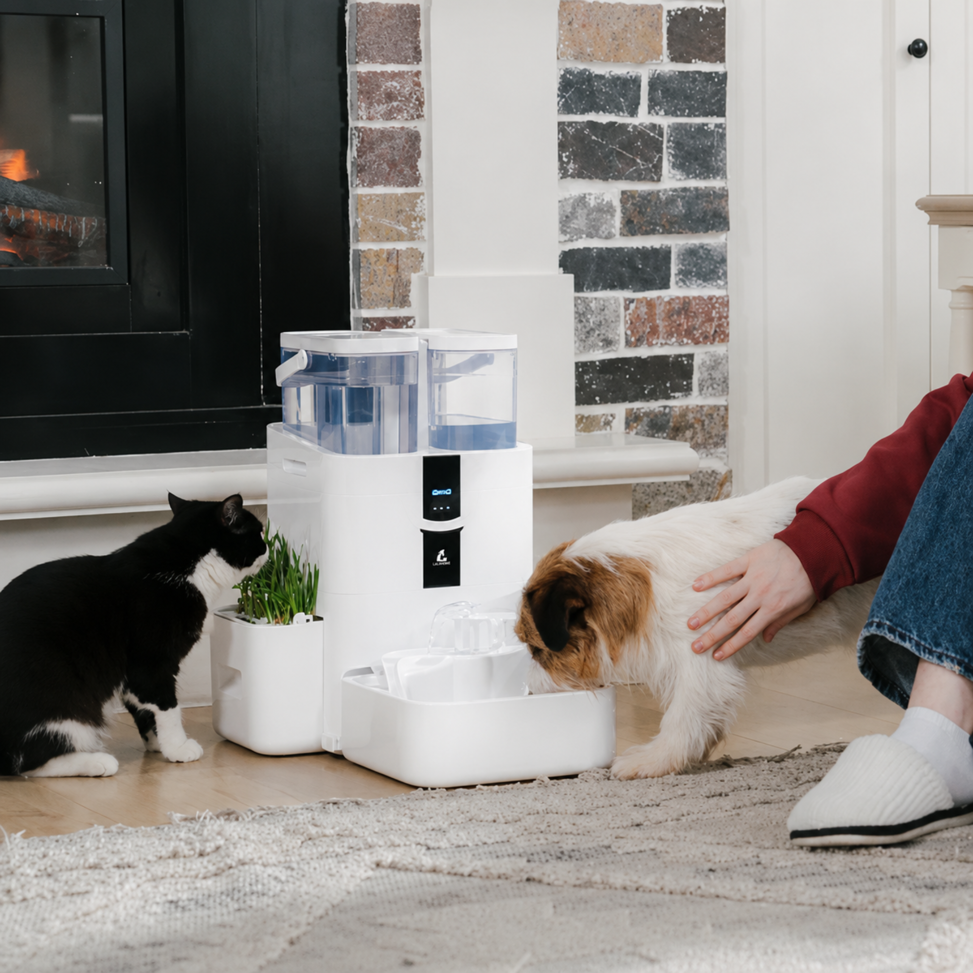DailyFresh™ Pet Water Fountain